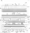 Fig. 01 - Liquid crystal device and electronic apparatus