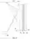 Fig. 06 - Fresnel projection screen and projection system