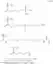 Fig. 107 - On-press development type lithographic printing plate precursor, method for preparing lithographic printing plate, and lithographic printing method