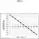 Fig. 12 - Image forming apparatus