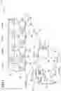 Fig. 02 - IMAGE FORMING APPARATUS