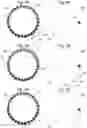 Fig. 04 - Rotary disk moon phase indicator