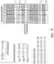 Fig. 17 - System and method for determining manufacturability and process planning for hybrid manufacturing using symbolic, logical, and/or combinatorial representations