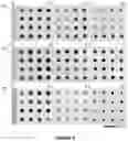 Fig. 05 - System and method for controlling directionality of fast-wet etching of crystalline silicon, c-Si