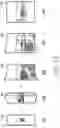Fig. 14 - Method for providing image using foldable display and electronic device for supporting the same
