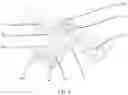 Fig. 04 - Foldable module and foldable electronic device