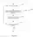Fig. 41 - Light field device, optical aberration compensation or simulation rendering