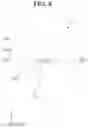 Fig. 09 - Touch sensor and display device