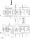 Fig. 02 - Write pressure reduction for remote replication