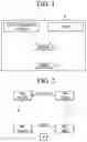 Fig. 02 - Wireless device and wireless system capable of touch based screen magnification