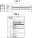 Fig. 06 - Wireless device and wireless system capable of touch based screen magnification