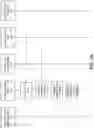 Fig. 04 - Conducting software testing using dynamically masked data