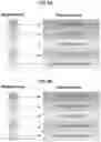Fig. 10 - EFFICIENT GRAPH QUERY PROJECTIONS ON TOP OF PROPERTY VALUE STORAGE SYSTEMS