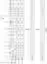 Fig. 06 - Population of file-catalog table for file stage