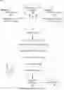 Fig. 01 - Searching social media content