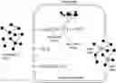 Fig. 01 - INFLUENCE MAXIMIZATION ON SOCIAL NETWORKS WITH TENSOR BANDITS
