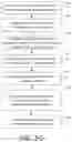 Fig. 10 - METHOD AND SYSTEM FOR PERFORMING USER AUTHENTICATION