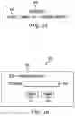 Fig. 06 - SERVER-SIDE RENDERING PASSWORD PROTECTED DOCUMENTS
