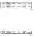 Fig. 09 - Generalization hierarchy set generation apparatus, generalization hierarchy set generation method, and program