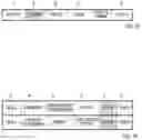 Fig. 10 - Generalization hierarchy set generation apparatus, generalization hierarchy set generation method, and program