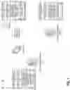 Fig. 02 - System for real-time authenticated obfuscation of electronic data