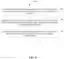 Fig. 05 - Methods, systems, apparatuses, and devices for facilitating streamlining of traveling processes for traveling
