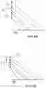 Fig. 04 - Method for optimizing a printing speed of a CIJ printer, in particular for printing 2D or graphical codes