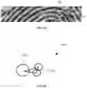 Fig. 04 - Method and device for fingerprint image recognition, and computer-readable medium