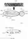 Fig. 10 - Method and device for fingerprint image recognition, and computer-readable medium