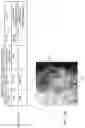 Fig. 15 - Synthesizing apparatus, synthesizing method and program