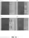 Fig. 12 - Passive image depth sensing for object verification based on chromatic differentiation