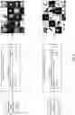 Fig. 07 - MULTI-WORD CONCEPT TAGGING FOR IMAGES USING SHORT TEXT DECODER