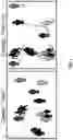 Fig. 02 - Method and apparatus for people flow analysis using similar-image search
