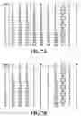 Fig. 08 - Image forming apparatus, control method thereof, and storage medium