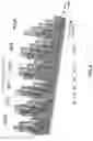Fig. 05 - Apparatus of Identifying Heterogeneous Time-Series Data Expression with High Efficiency