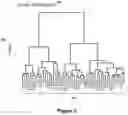 Fig. 03 - SYSTEM AND METHOD FOR PATENT CLUSTERING
