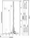 Fig. 17 - Method to increase discovery pipeline hit rates and lab to field translation