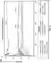 Fig. 18 - Method to increase discovery pipeline hit rates and lab to field translation