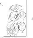 Fig. 04 - System and method for automatic labeling of clusters created by machine learning methods