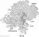 Fig. 21 - Computational analysis to predict molecular recognition space of monoclonal antibodies through random-sequence peptide arrays