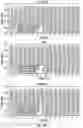 Fig. 42 - Computational analysis to predict molecular recognition space of monoclonal antibodies through random-sequence peptide arrays