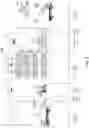 Fig. 07 - Systems and methods for dynamic balancing of virtual bundles