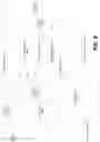 Fig. 07 - Method and apparatus for video coding