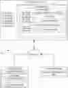 Fig. 01 - AGGREGATED TRANSACTION ACCOUNTS