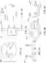 Fig. 19 - Generating insights based on signals from measuring device