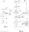 Fig. 10 - Systems, methods and computer program products for generating script elements and call to action components therefor