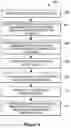 Fig. 09 - Approving and updating dynamic mortgage applications