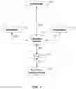 Fig. 02 - SYSTEMS AND METHODS FOR BID/OFFER LIQUIDITY SPREAD TRADING