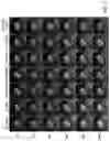 Fig. 10 - SPATIOTEMPORAL RESOLUTION ENHANCEMENT OF BIOMEDICAL IMAGES