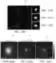 Fig. 32 - Systems and methods for deep learning microscopy